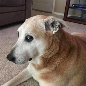 Meet your Posher, Joanne